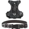 Frisco Outdoor Premium Ripstop Nylon Dog Harness With Pocket & Frisco Outdoor Nylon Reflective Comfort Padded Dog Collar 2 Frisco Outdoor Premium Ripstop Nylon Dog Harness With Pocket & Frisco Outdoor Nylon Reflective Comfort Padded Dog Collar -Frisco 319304 MAIN. AC SS1800 V1631144496