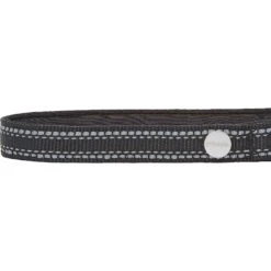 Frisco Outdoor Premium Ripstop Nylon Dog Harness With Pocket & Frisco Outdoor Nylon Reflective Comfort Padded Dog Collar 17 Frisco Outdoor Premium Ripstop Nylon Dog Harness With Pocket & Frisco Outdoor Nylon Reflective Comfort Padded Dog Collar -Frisco 319304 PT6. AC SS1800 V1631158591