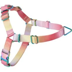 Frisco 16 Frisco Pink Ombre Style Dog Harness