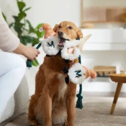 Frisco Mother's Day Gnomes Plush With Rope Squeaky Dog Toy 7 Frisco Mother's Day Gnomes Plush With Rope Squeaky Dog Toy -Frisco 327037 PT3. AC SS1800 V1646948102