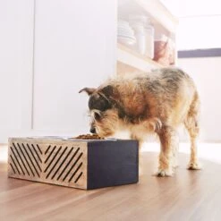 Frisco Premium Wood Elevated Stainless Steel Double Diner Dog & Cat Bowl, Black, 3 Cup 10 Frisco Premium Wood Elevated Stainless Steel Double Diner Dog & Cat Bowl, Black, 3 Cup -Frisco 331509 PT2. AC SS1800 V1657656894