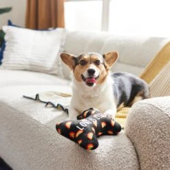 Frisco Pride Proud Pup Bone Plush Squeaky Dog Toy 9 Frisco Pride Proud Pup Bone Plush Squeaky Dog Toy -Frisco 331638 PT3. AC SS1800 V1647355940