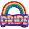 Frisco Pride Rainbow Plush With Rope Squeaky Dog Toy