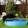 Frisco Outdoor Dog Swimming Pool -Frisco 331671 MAIN. AC SS1800 V1646181283