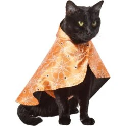 Frisco Spider Webbed Dog & Cat Costume Cape -Frisco 334972 PT2. AC SS1800 V1658348259