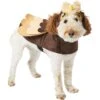 Frisco Owl Dog & Cat Costume -Frisco 335055 MAIN. AC SS1800 V1658717776