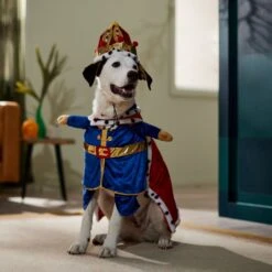 Frisco Front Walking Royal King Dog & Cat Costume 16 Frisco Front Walking Royal King Dog & Cat Costume -Frisco 335127 PT7. AC SS1800 V1659037728