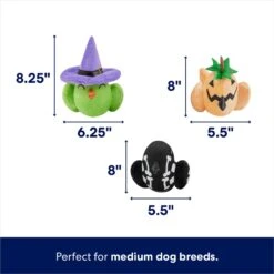 Frisco Halloween Birds Plush Squeaky Dog Toy -Frisco 344010 PT1. AC SS1800 V1689876475
