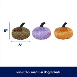 Frisco Halloween Bougie Pumpkins Plush Squeaky Dog Toy 8 Frisco Halloween Bougie Pumpkins Plush Squeaky Dog Toy -Frisco 344016 PT1. AC SS1800 V1689877467