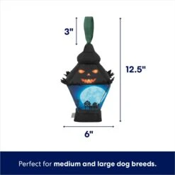 Frisco Halloween Lantern Ballistic Nylon Plush Squeaky Dog Toy -Frisco 344138 PT1. AC SS1800 V1689878449