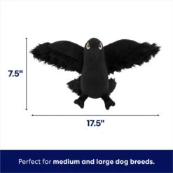Frisco Halloween Crow Plush Squeaky Dog Toy 8 Frisco Halloween Crow Plush Squeaky Dog Toy -Frisco 344156 PT1. AC SS1800 V1689877960
