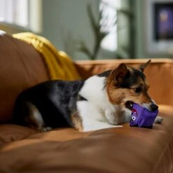 Frisco Halloween Vampire Latex Squeaky Dog Toy -Frisco 344166 PT3. AC SS1800 V1657657049