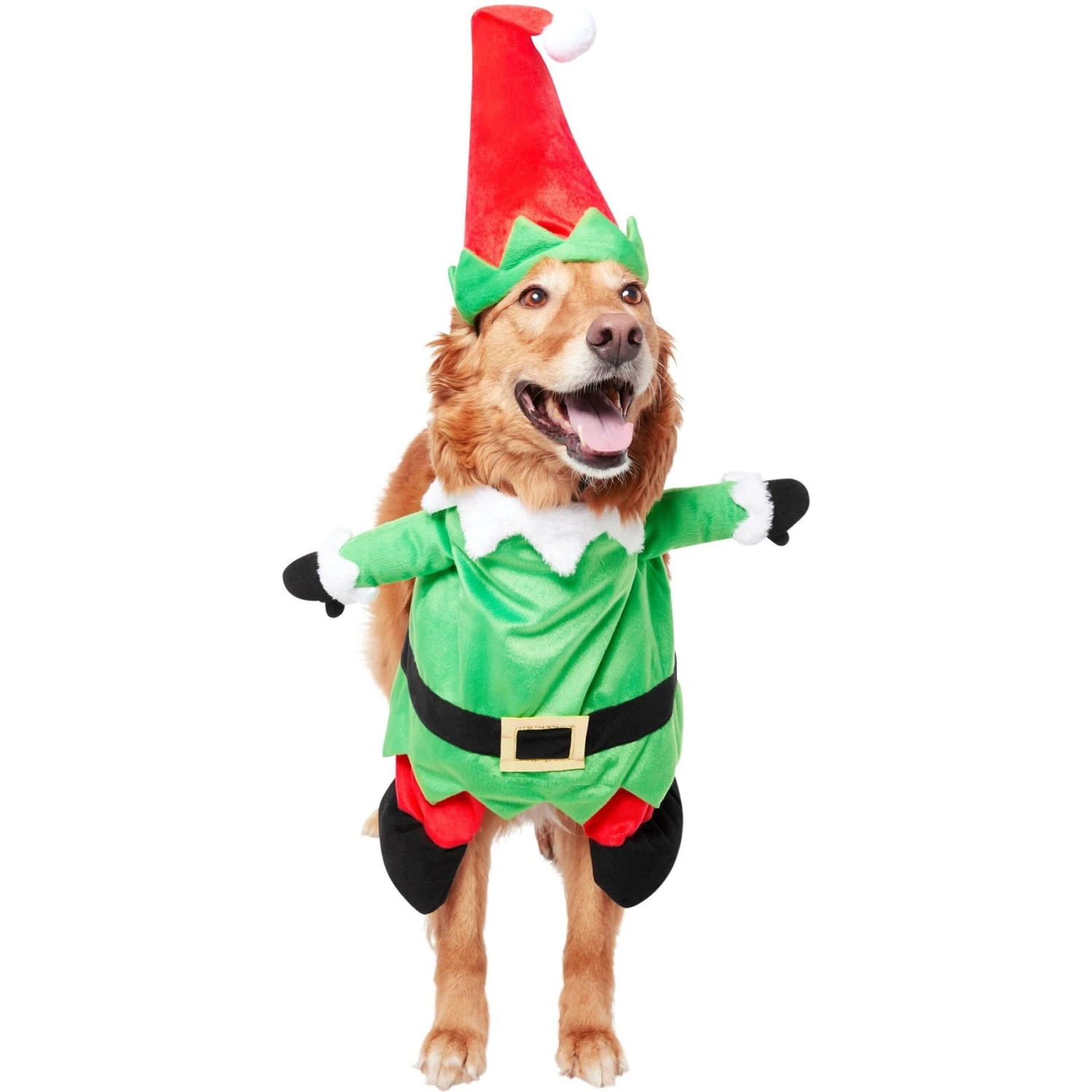 Frisco Front Walking Elf Dog & Cat Costume 6 Frisco Front Walking Elf Dog & Cat Costume - Image 4