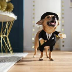 Frisco Front Walking New Years Tuxedo Dog & Cat Costume 18 Frisco Front Walking New Years Tuxedo Dog & Cat Costume -Frisco 358028 PT7. AC SS1800 V1661799888