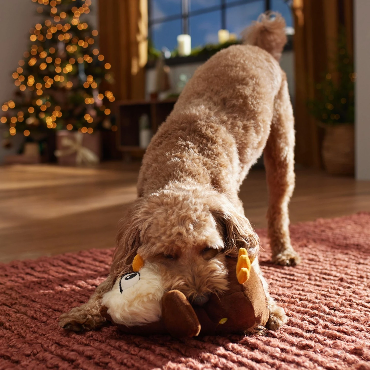 Frisco Holiday Festive Owl Plush Squeaky Dog Toy 5 Frisco Holiday Festive Owl Plush Squeaky Dog Toy - Image 3