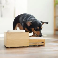 Frisco Elevated Non-Skid Bamboo Melamine Bowl Double Diner With Bamboo Stand 9 Frisco Elevated Non-Skid Bamboo Melamine Bowl Double Diner With Bamboo Stand -Frisco 363385 PT5. AC SS1800 V1657657267