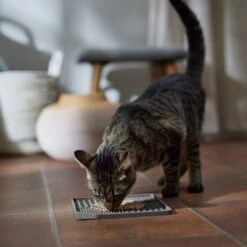 Frisco Non-skid Square Silicone Dog & Cat Lick Mat -Frisco 363402 PT3. AC SS1800 V1665170734