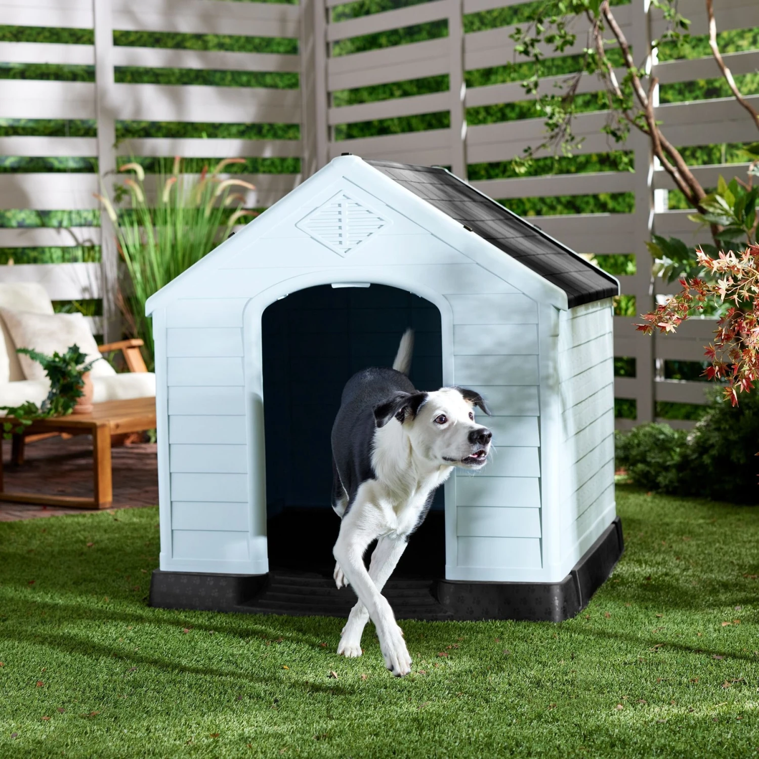 Frisco Plastic Outdoor Dog House With Elevated Platform 3 Frisco Plastic Outdoor Dog House With Elevated Platform