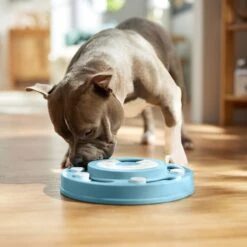 Frisco Two Tier Interactive Puzzle Dog Toy, Easy 14 Frisco Two Tier Interactive Puzzle Dog Toy, Easy -Frisco 506370 PT5. AC SS1800 V1674671566