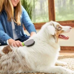 TropiClean Luxury 2 In 1 Papaya & Coconut Pet Shampoo & Conditioner & Frisco Cat & Dog Bristle Brush 17 TropiClean Luxury 2 In 1 Papaya & Coconut Pet Shampoo & Conditioner & Frisco Cat & Dog Bristle Brush -Frisco 575094 PT7. AC SS1800 V1657660395