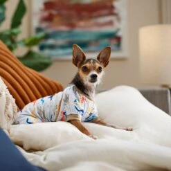 Frisco Dinosaur Dog & Cat Jersey PJs 12 Frisco Dinosaur Dog & Cat Jersey PJs -Frisco 609062 PT6. AC SS1800 V1676643314