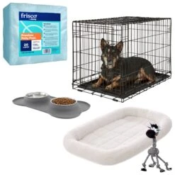 Frisco Fold & Carry Single Door Collapsible Wire Dog Crate + 4 Items