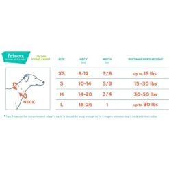 Frisco Solid Nylon Dog Leash + 4 Items 17 Frisco Solid Nylon Dog Leash + 4 Items -Frisco 623766 PT6. AC SS1800 V1662739135