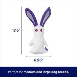 Frisco Halloween Bunny Ghost Plush Squeaky Dog Toy 8 Frisco Halloween Bunny Ghost Plush Squeaky Dog Toy -Frisco 667878 PT1. AC SS1800 V1689271353