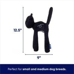 Frisco Halloween Cutie Black Cat Plush Squeaky Dog Toy -Frisco 668006 PT1. AC SS1800 V1689350658