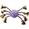 Frisco Halloween Magical Spider Plush With Rope Squeaky Dog Toy 2 Frisco Halloween Magical Spider Plush With Rope Squeaky Dog Toy -Frisco 668310 MAIN. AC SS1800 V1689350982