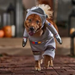 Frisco Front Walking LED Astronaut Dog & Cat Costume -Frisco 707630 PT7. AC SS1800 V1689278700