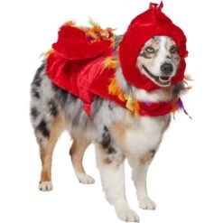 Frisco Flying Phoenix Dog & Cat Costume 12 Frisco Flying Phoenix Dog & Cat Costume -Frisco 708150 PT3. AC SS1800 V1691084928