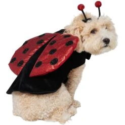 Frisco Glittered Ladybug Dog & Cat Costume -Frisco 708254 PT3. AC SS1800 V1689350986