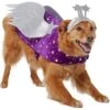 Frisco Shooting Stars Dog & Cat Costume -Frisco 708614 MAIN. AC SS1800 V1689340940