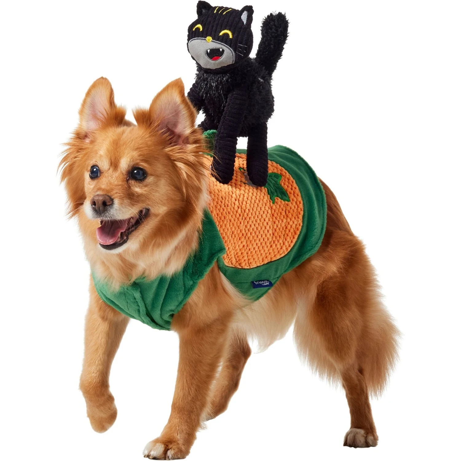 Frisco Pumpkin Cat Ride-On Dog & Cat Costume 3 Frisco Pumpkin Cat Ride-On Dog & Cat Costume