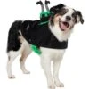 Frisco Witch Cauldron Ride-On Dog & Cat Costume -Frisco 709494 MAIN. AC SS1800 V1689270917