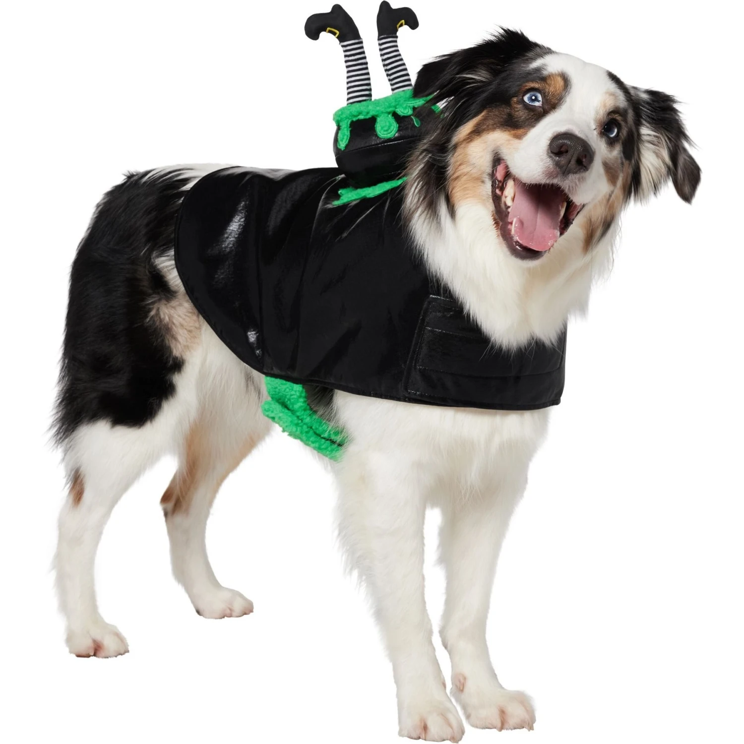 Frisco Witch Cauldron Ride-On Dog & Cat Costume 3 Frisco Witch Cauldron Ride-On Dog & Cat Costume