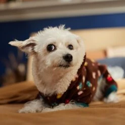 Frisco Cozy Plush Fleece Dog & Cat PJs, Mushrooms 16 Frisco Cozy Plush Fleece Dog & Cat PJs, Mushrooms -Frisco 718950 PT7. AC SS1800 V1692378098