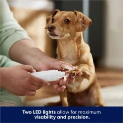 Rechargeable Cordless Cat & Dog 3-Speed Nail Grinder, White 13 Rechargeable Cordless Cat & Dog 3-Speed Nail Grinder, White -Frisco 729774 PT4. AC SS1800 V1687894786