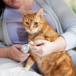 Rechargeable Cordless Cat & Dog 3-Speed Nail Grinder, White 14 Rechargeable Cordless Cat & Dog 3-Speed Nail Grinder, White -Frisco 729774 PT5. AC SS1800 V1683147135