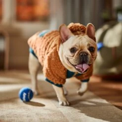 Frisco Wubby Textured Fleece Dog & Cat Hoodie W/ Pocket 18 Frisco Wubby Textured Fleece Dog & Cat Hoodie W/ Pocket -Frisco 742510 PT7. AC SS1800 V1692377765