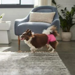 Skout's Honor Laundry Booster Stain & Odor Removal Additive, 32-oz Bottle & Frisco Washable Female Diaper 19 Skout's Honor Laundry Booster Stain & Odor Removal Additive, 32-oz Bottle & Frisco Washable Female Diaper -Frisco 773022 PT8. AC SS1800 V1676749103