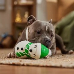 Frisco Holiday Snowman Latex Squeaky Dog Toy -Frisco 773870 PT3. AC SS1800 V1695044328