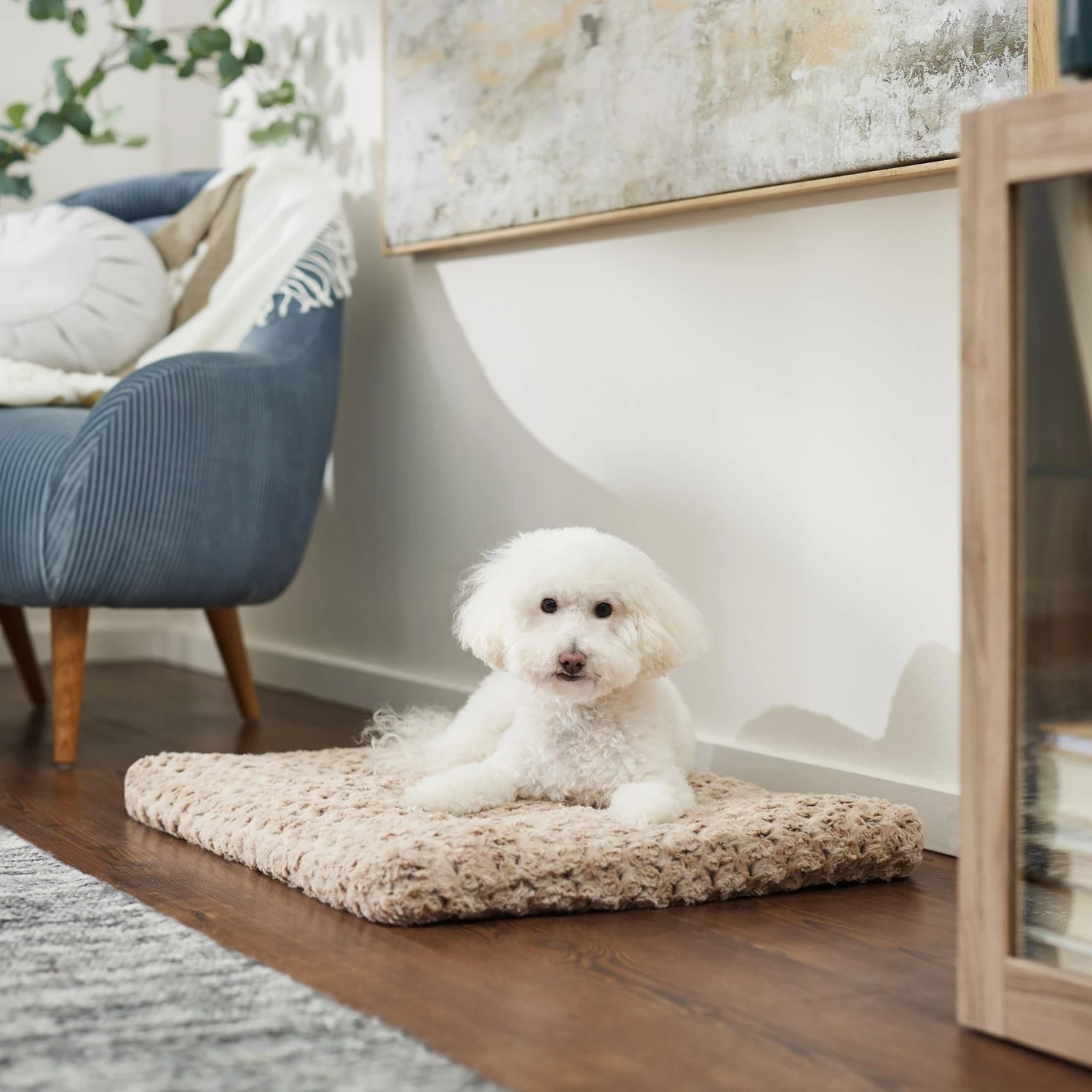 Frisco Double Door Furniture Style Dog Crate, Black & Frisco Swirl Dog Crate Mat 8 Frisco Double Door Furniture Style Dog Crate, Black & Frisco Swirl Dog Crate Mat - Image 6