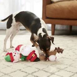 Frisco Holiday Santa's Helpers Plush Squeaky Dog Toy, 3 Count & Frisco Holiday Lights Plush With Rope Squeaky Dog Toy -Frisco 986206 PT4. AC SS1800 V1698257788