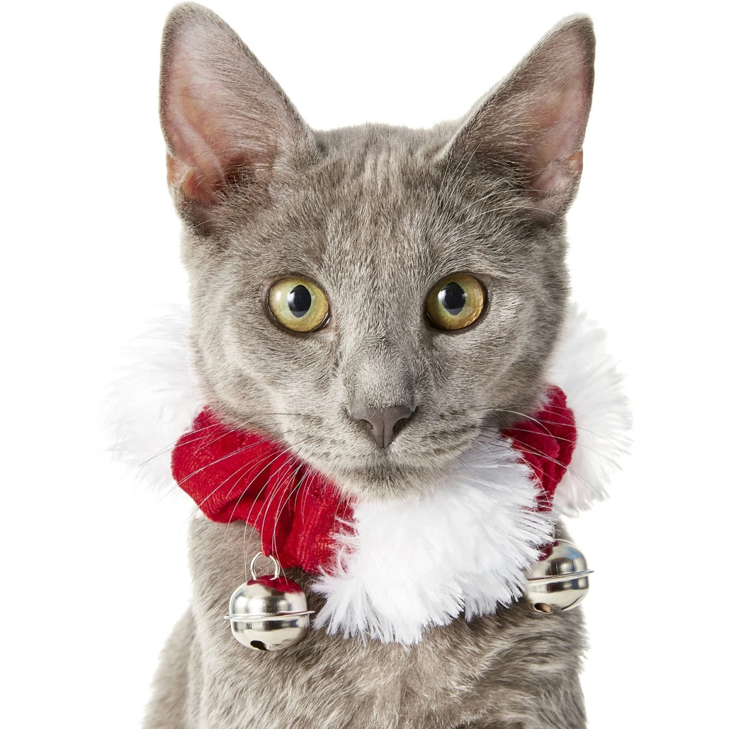 Frisco Jingle Bells Dog & Cat Holiday Collar With Bells, 1 Count & Frisco Holiday Antler Headband & Bell Collar Dog & Cat Costume 5 Frisco Jingle Bells Dog & Cat Holiday Collar With Bells, 1 Count & Frisco Holiday Antler Headband & Bell Collar Dog & Cat Costume - Image 3