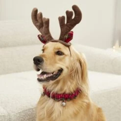 Frisco Jingle Bells Dog & Cat Holiday Collar With Bells, 1 Count & Frisco Holiday Antler Headband & Bell Collar Dog & Cat Costume 18 Frisco Jingle Bells Dog & Cat Holiday Collar With Bells, 1 Count & Frisco Holiday Antler Headband & Bell Collar Dog & Cat Costume -Frisco 986294 PT7. AC SS1800 V1698258404
