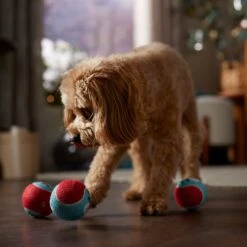 Frisco Holiday Ho Ho Ho Fetch Squeaky Tennis Ball Dog Toy & Frisco Holiday Arctic Friends Stuffing-Free Skinny Plush Squeaky Dog Toy -Frisco 986310 PT4. AC SS1800 V1698257790