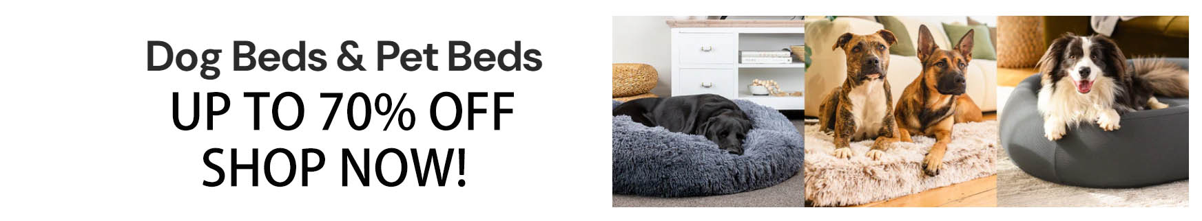 Frisco -Frisco DFGDGER