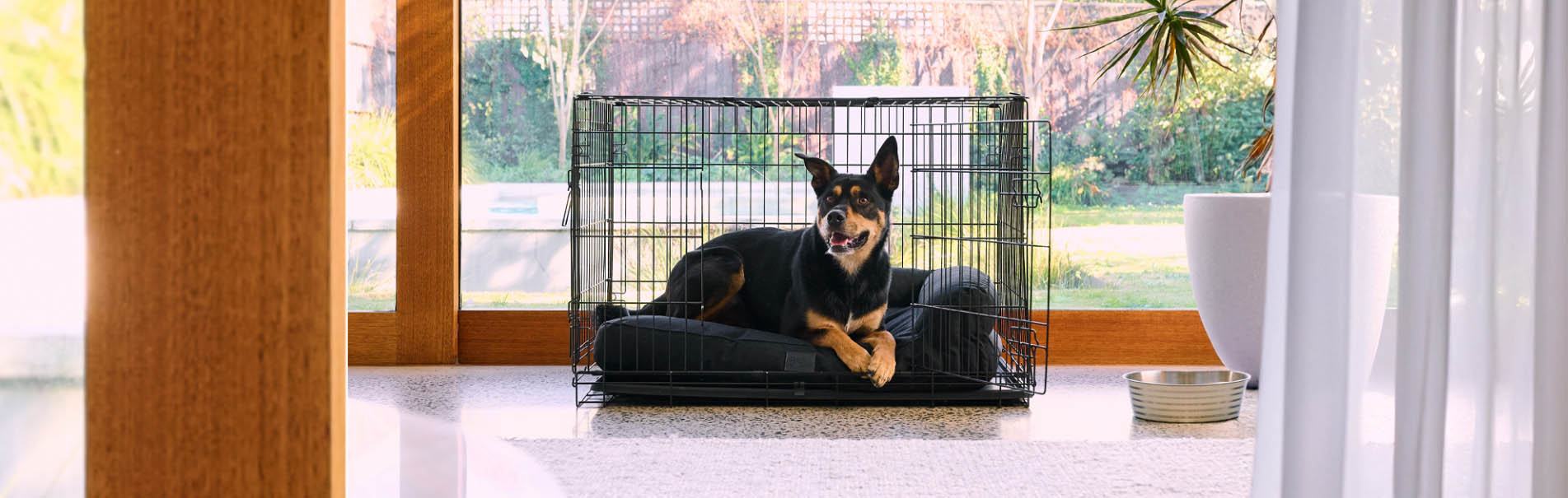 Frisco -Frisco SDFGG